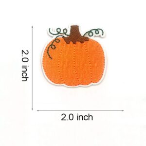 Color Pumpkin Embroidered Patches