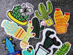 Western Cactus Iron On Patches